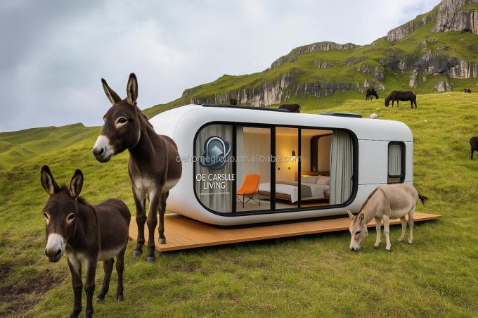 คอนเทนเนอร์เรือนขนส่งโมเดิร์นหรู 20 ฟุต บ้านพักขนาดเล็ก โครงสร้างสแตนเลส Prefab สําหรับโรงแรม วิลล่า พื้นที่อพาร์ทเมนต์ 5